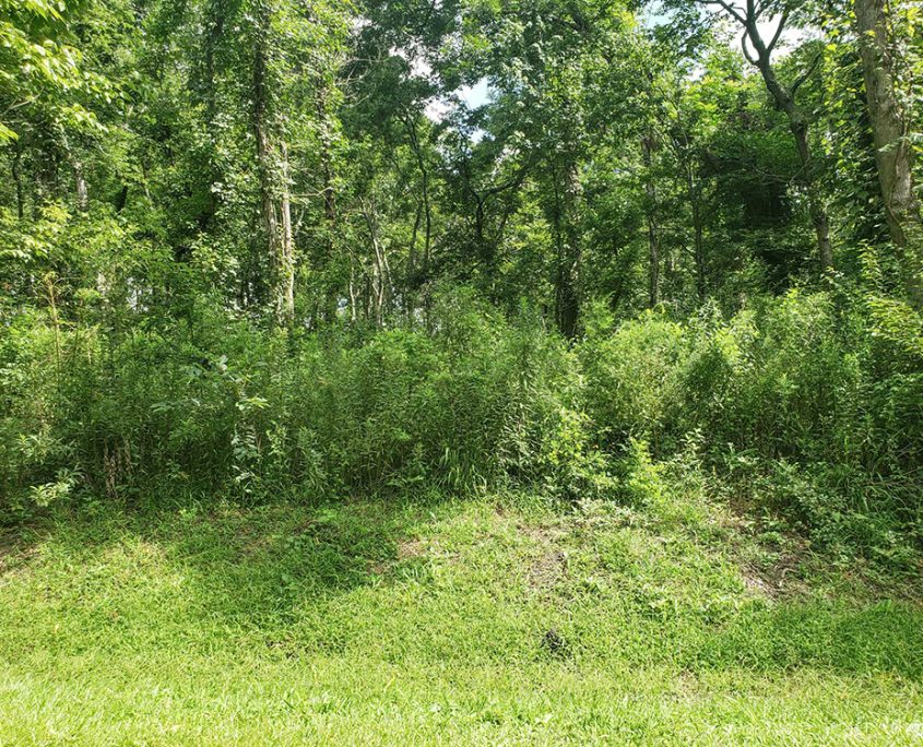 Lots for Sale The Arbors Estates