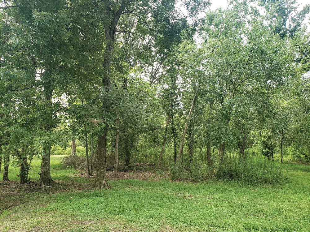 52 Arbor Circle, New Orleans, LA 70131, Lot 73 The Arbors Estates